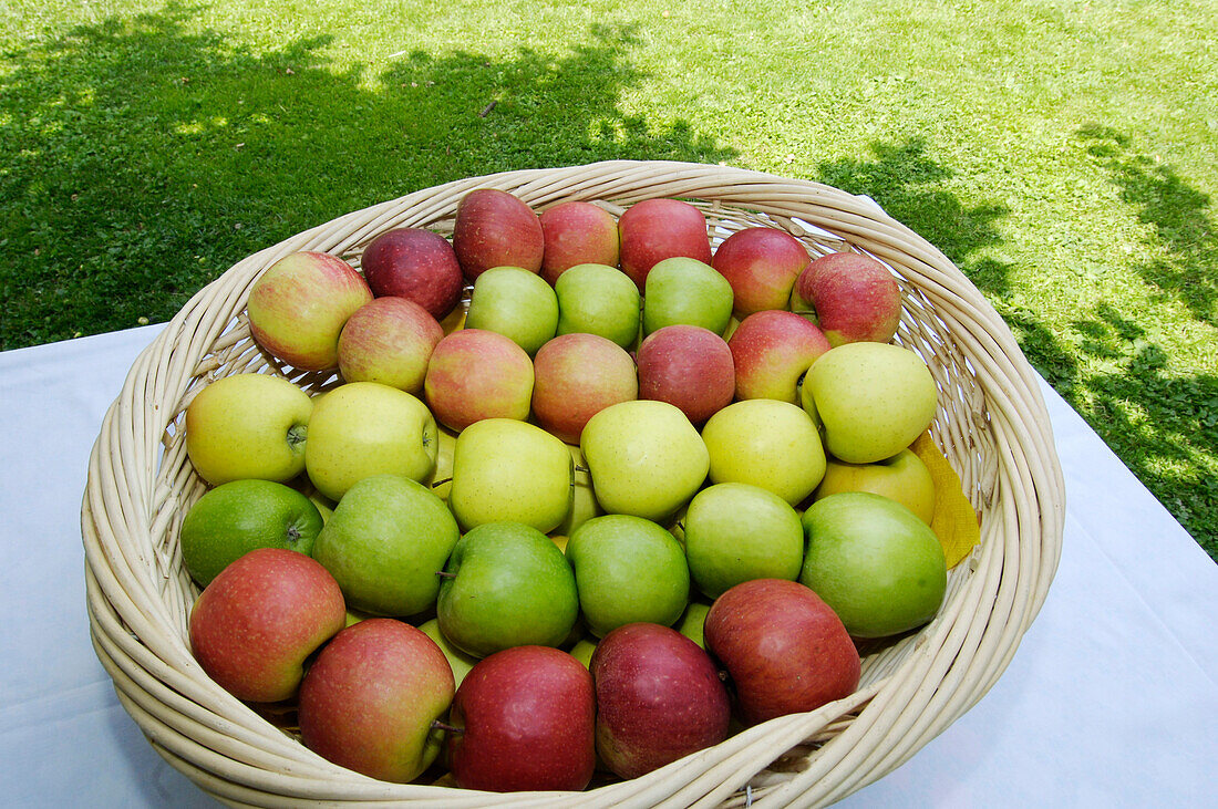 Frische Äpfel im Korb, Alto Adige, Südtirol, Italien