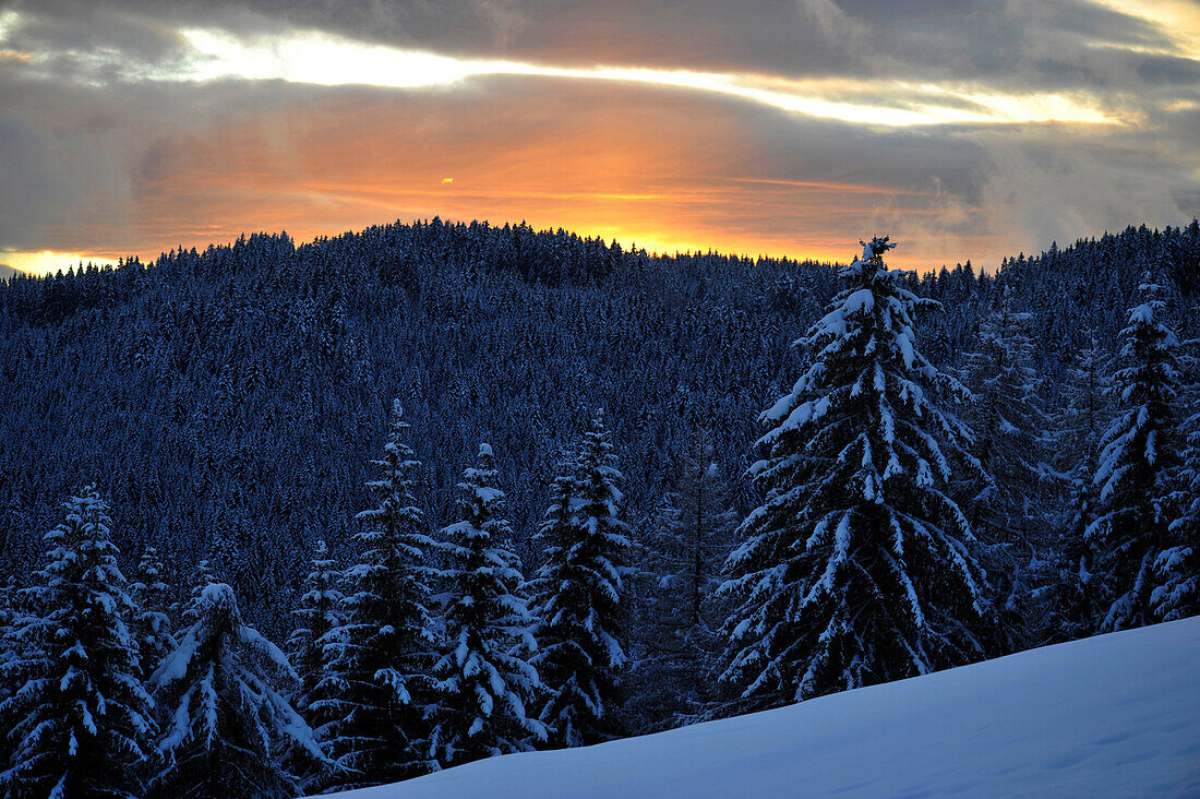 Winter scenery at sunset, Welschnofen, South Tyrol, Alto Adige, Italy, Europe