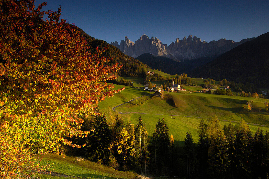 St. Magdalena at valley of Villnoess in autumn, Dolomites, South Tyrol, Alto Adige, Italy, Europe
