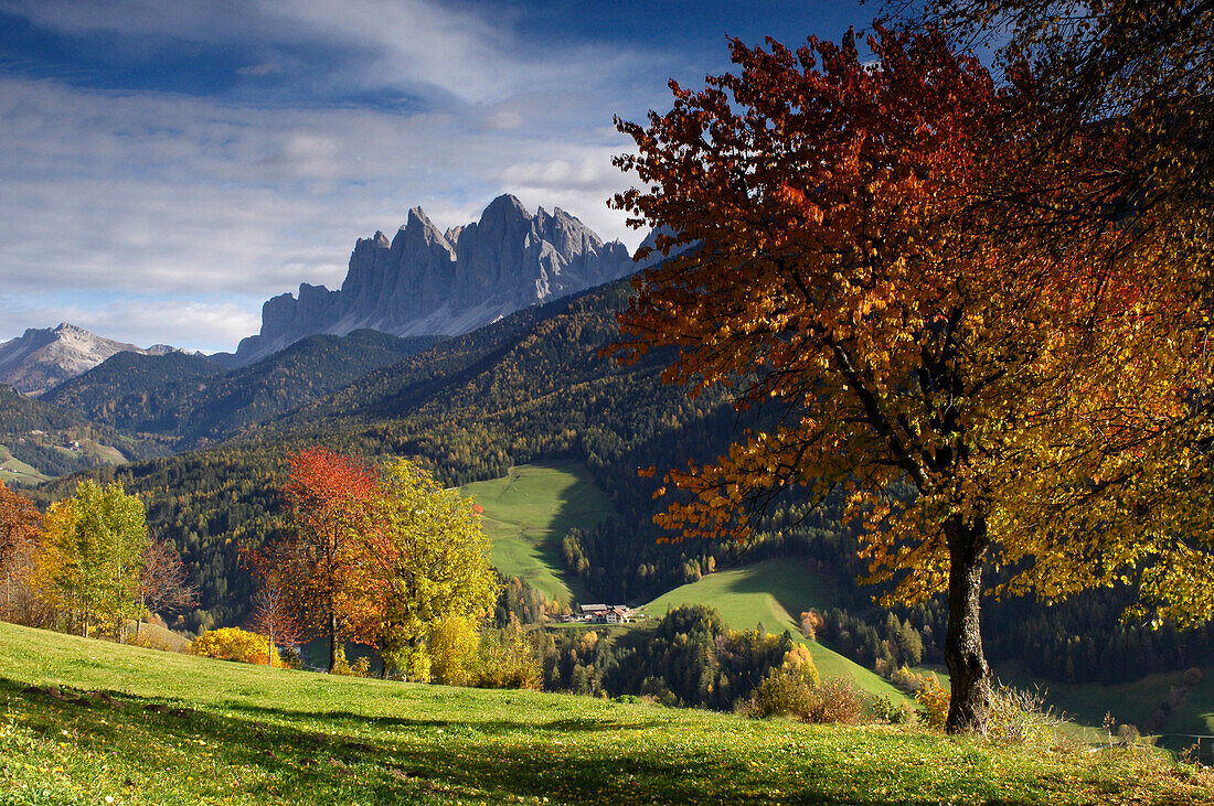 View of St. Magdalena at valley of Villnoess in autumn, Dolomites, South Tyrol, Alto Adige, Italy, Europe
