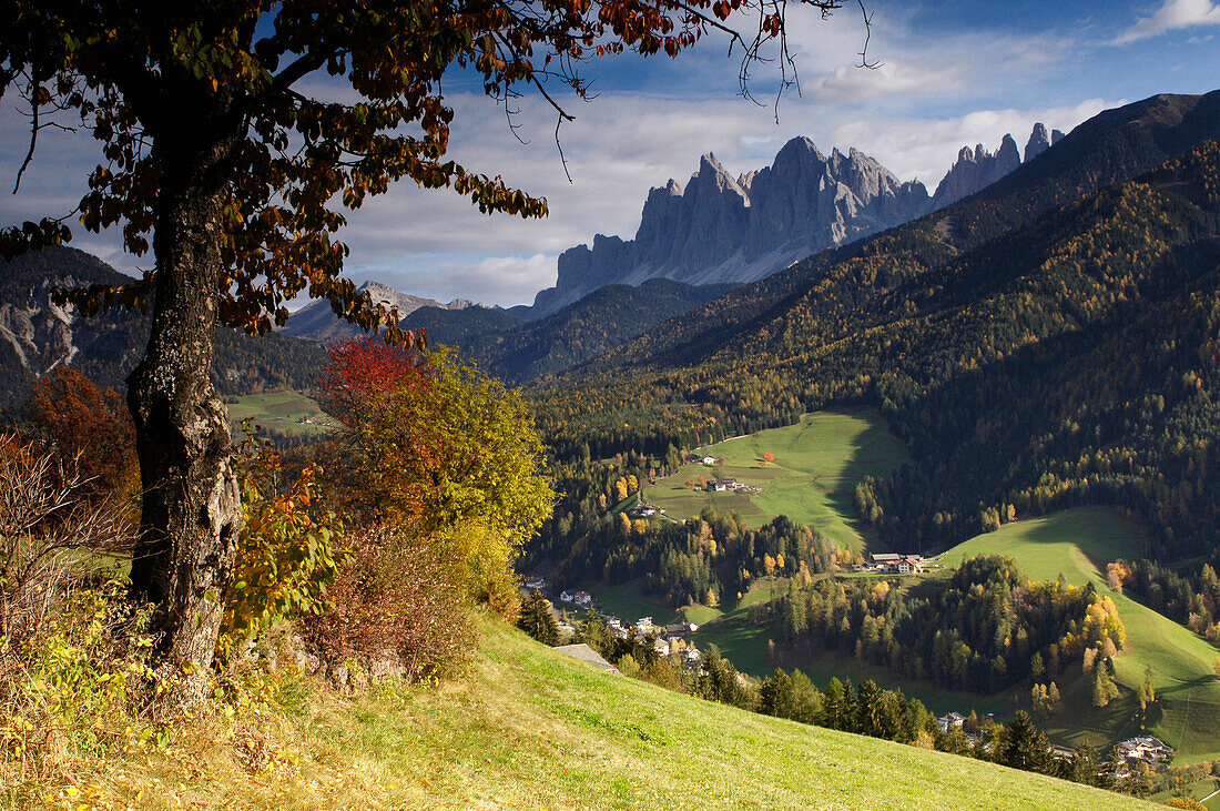 View of St. Magdalena at valley of Villnoess in autumn, Dolomites, South Tyrol, Alto Adige, Italy, Europe