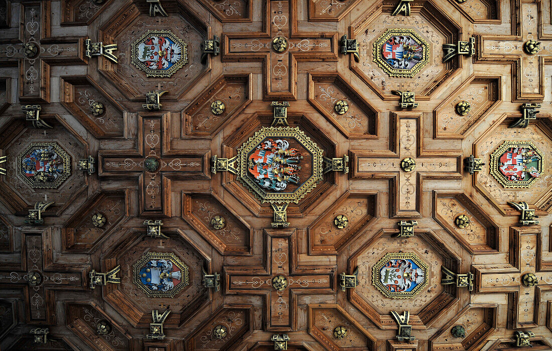 Panelled ceiling inside of Trostburg castle, Waidbruck, Valle Isarco, South Tyrol, Alto Adige, Italy, Europe