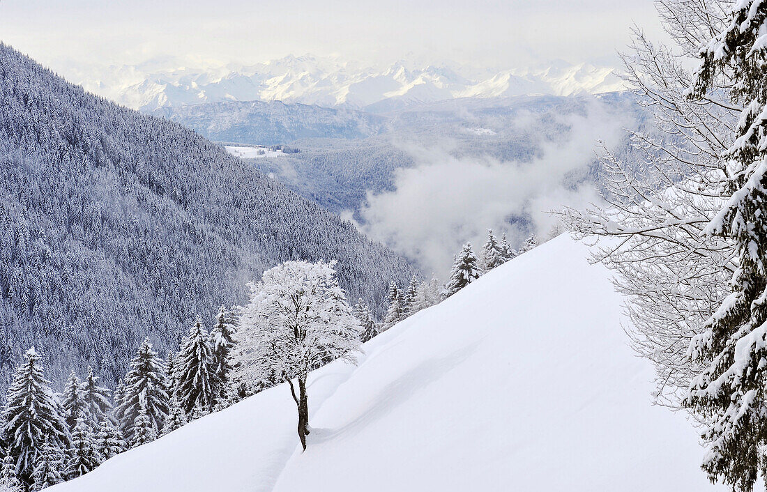 Mountain scenery in winter, Welschnofen, Val d'Ega, South Tyrol, Alto Adige, Italy, Europe