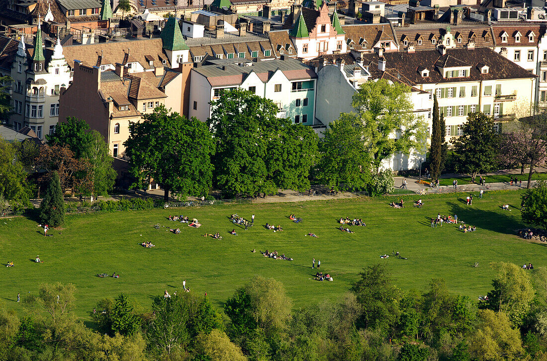 Residential houses and Talfer meadow in the sunlight, Bolzano, South Tyrol, Alto Adige, Italy, Europe