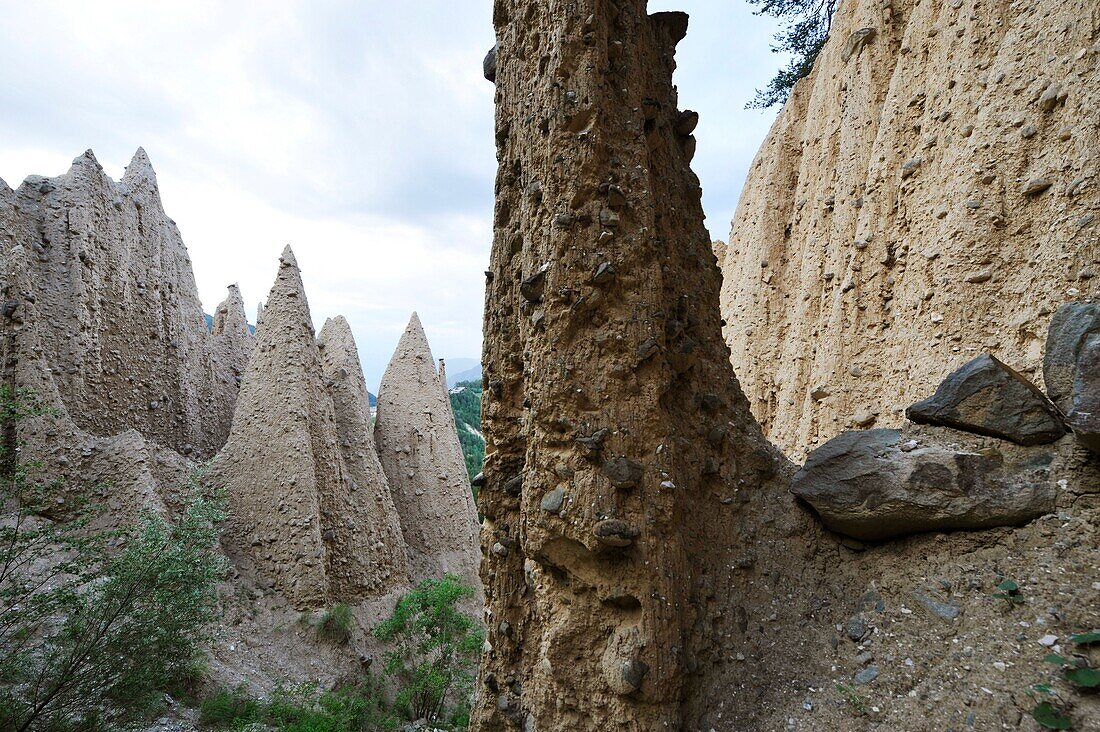 Earth pyramids, Steinegg, Val d'Ega, South Tyrol, Alto Adige, Italy, Europe