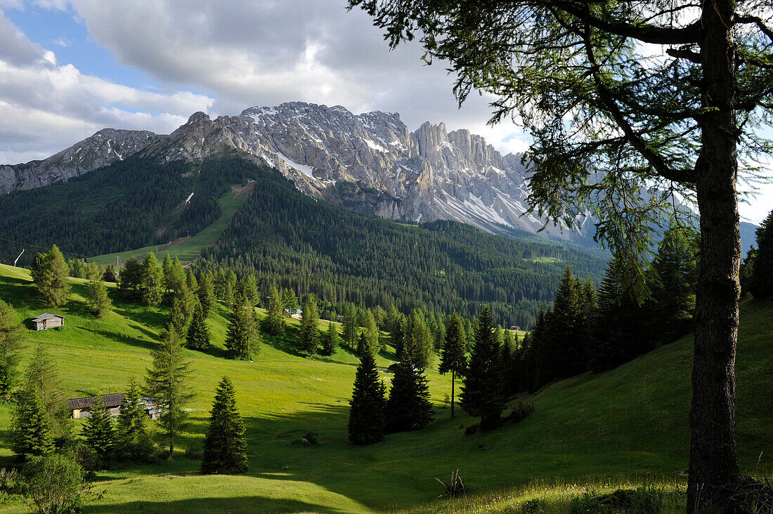 Mountain scenery under cloudy sky, Latemar, Eggental valley, South Tyrol, Alto Adige, Italy, Europe