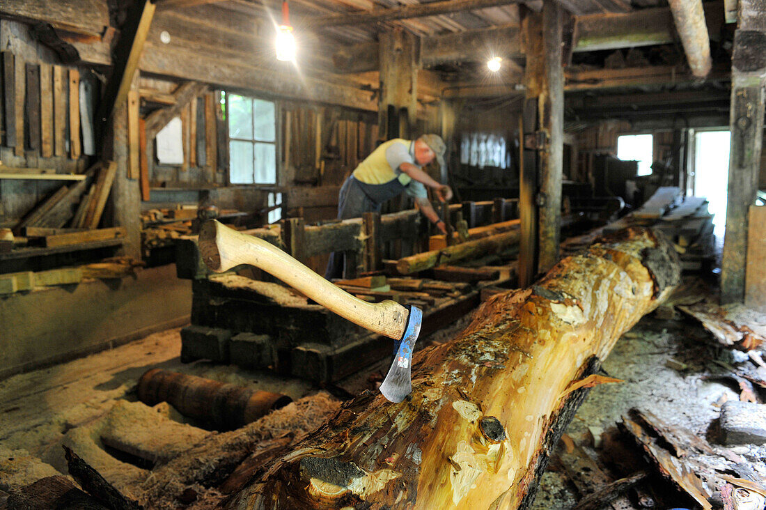 Tree trunk and worker in a sawmill, Welschnofen, South Tyrol, Alto Adige, Italy, Europe