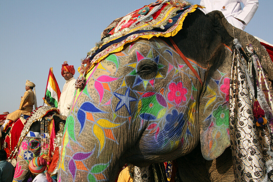 At Elephant Festival, Jaipur, Capital Of Rajasthan, India. Annual Event Held At Chaughan Stadium Within The Old Walled Centre Of Jaipur, Jaipur, Rajasthan State, India. Asia. 