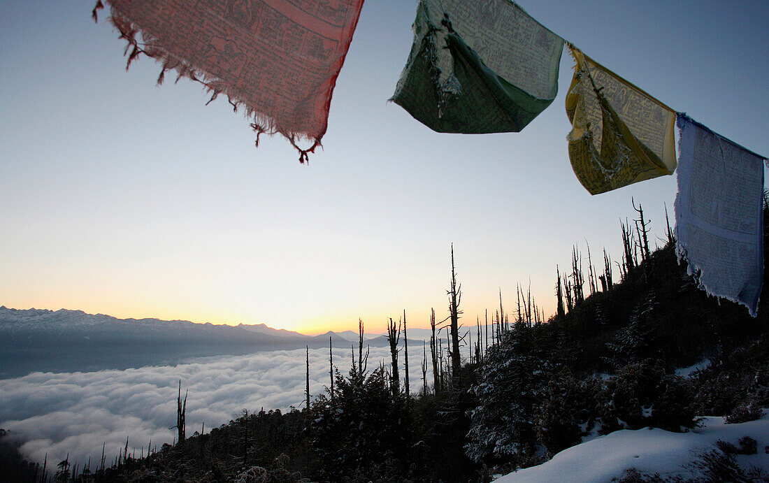 Prayer flags at sunrise over Himalayas, Paro Valley, Bhutan