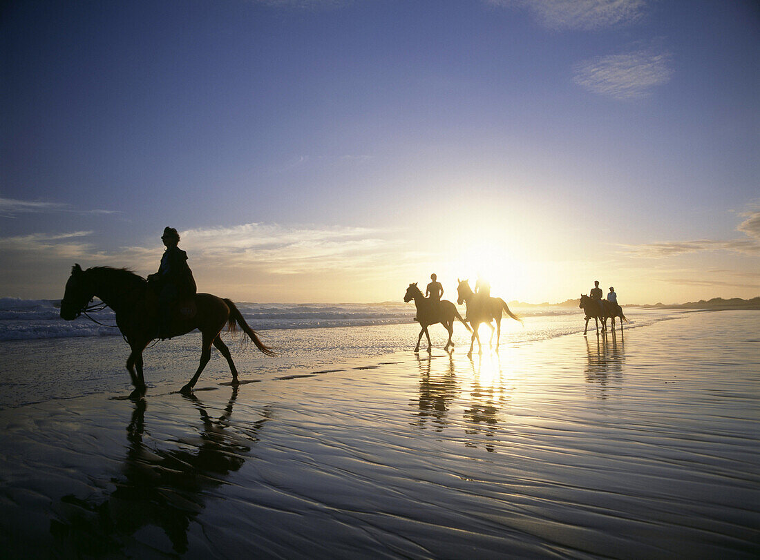 People horseback riding at dusk on the beach beside Buffalo Bay, The Garden Route, South Africa