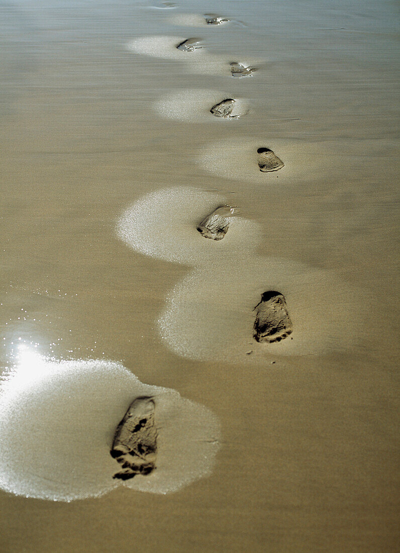Footprints in the wet sand on beach near Sedgefield, on the Garden Route, South Africa.