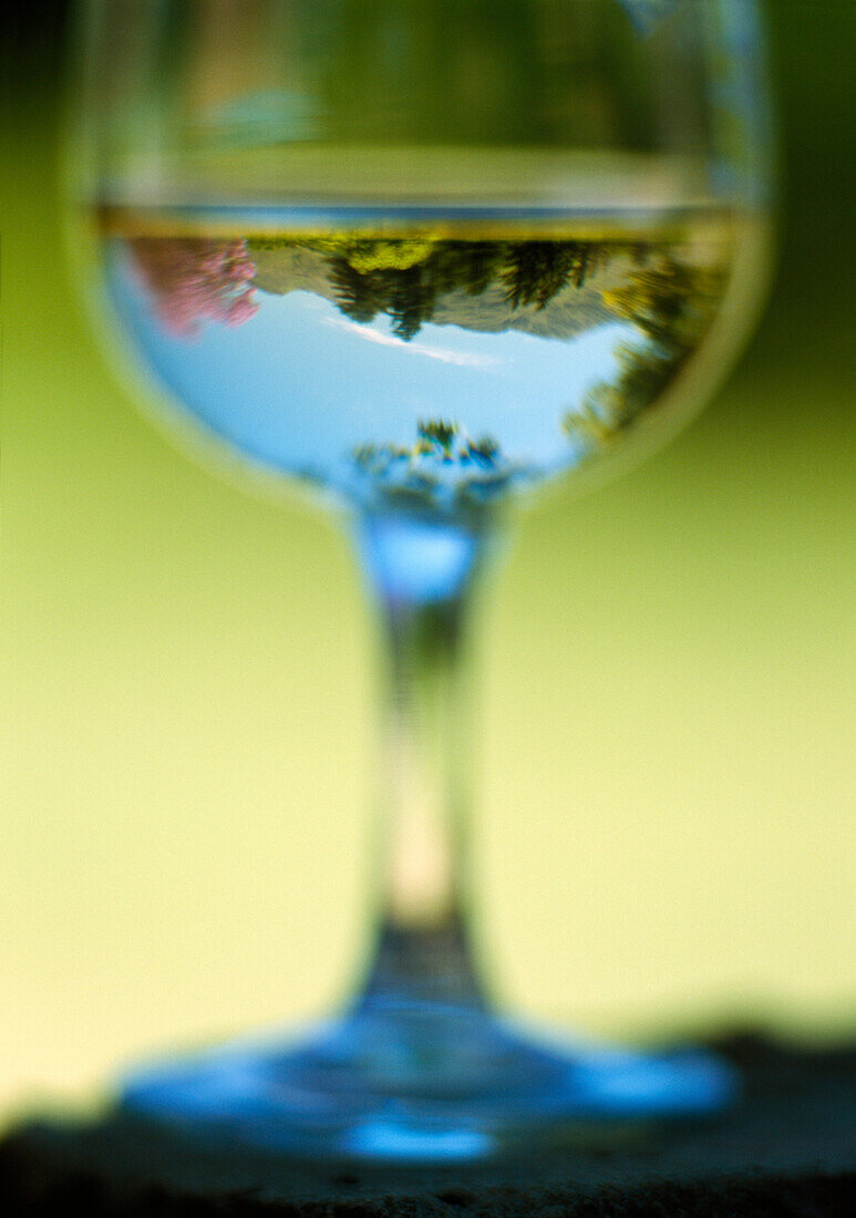 Looking into wine glass, View of the hills & jacaranda tree in flower, around the vineyards of Stellenbosch, Western Cape, South Africa