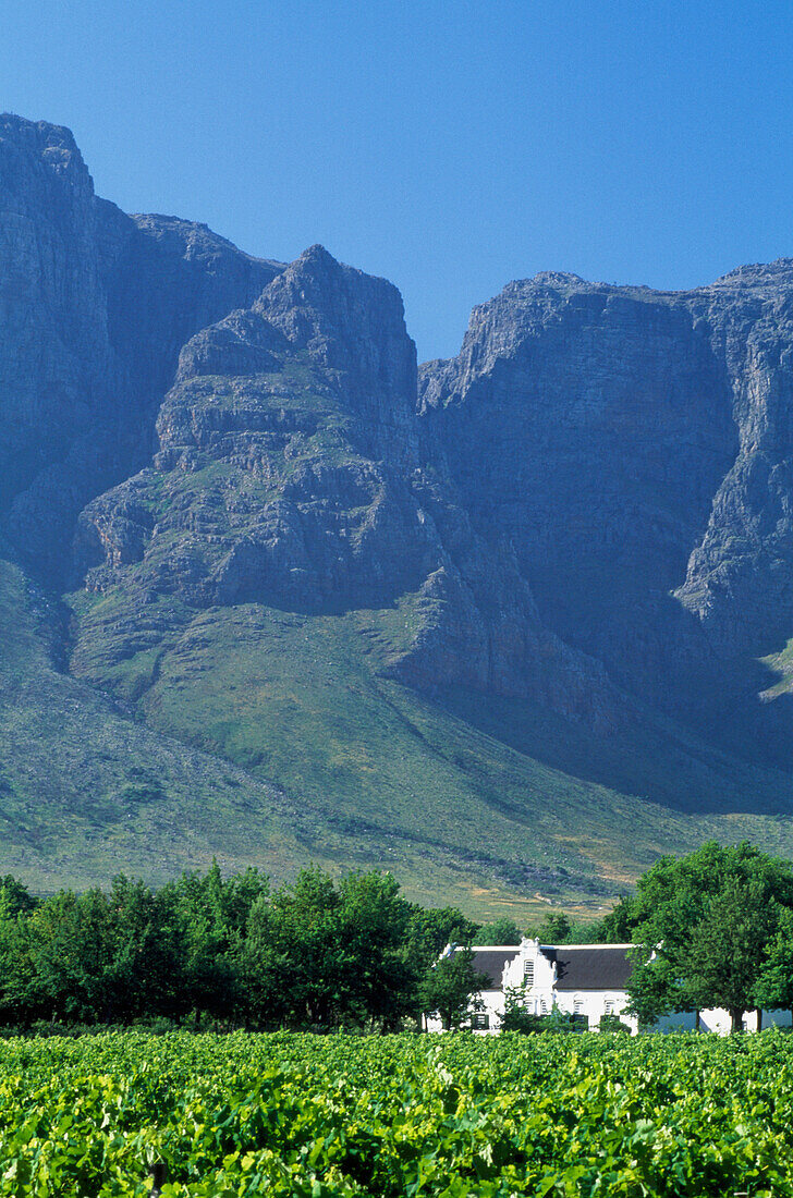 Boschendal, Stellenbosch, South Africa