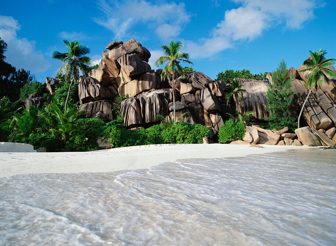 Palm trees and boulders on tropical beach, Anse Source D'Argent, Anse Source D'Argent, La Digue, Seychelles