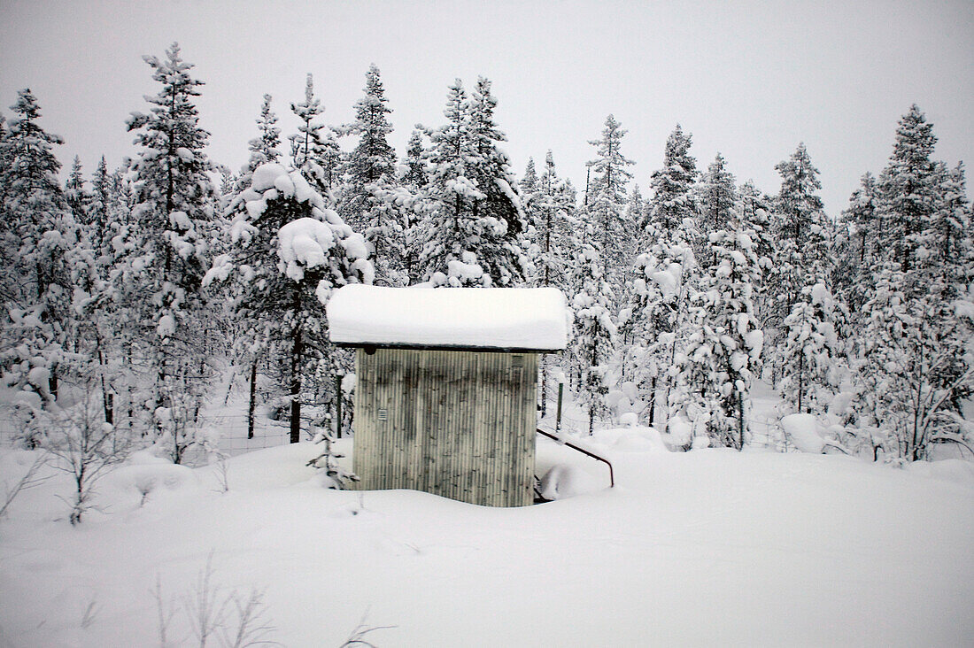 Snow covered cabin by forest, Abisko, Sweden