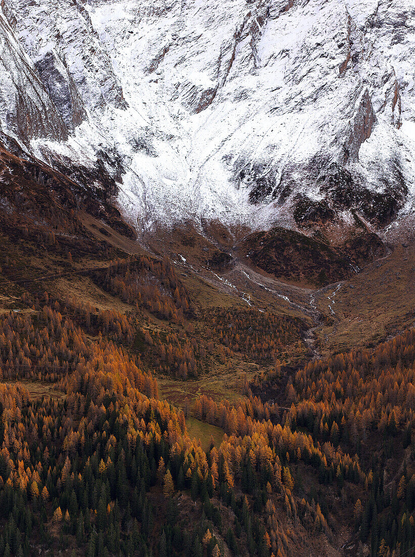Gothtard Pass with snow and autumn colors, Switzerland