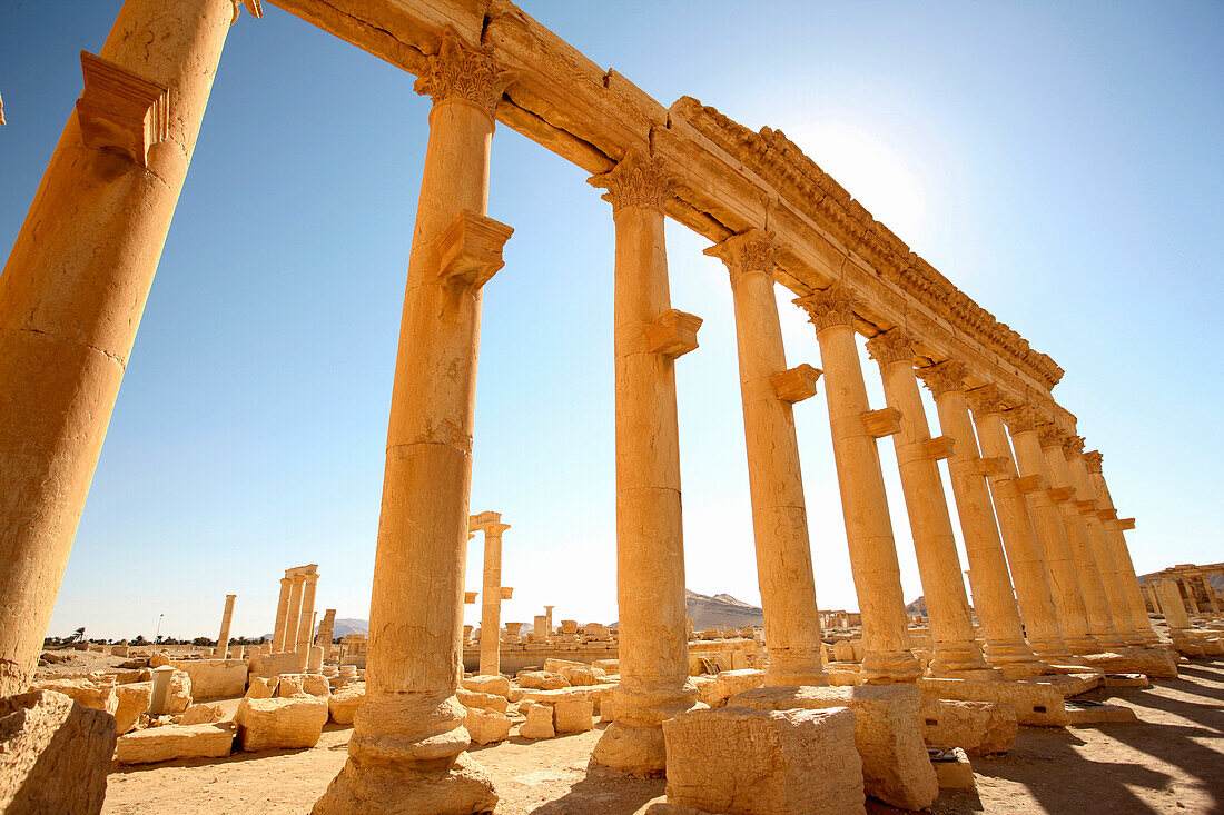 Ancient ruins of Palmyra, Syria