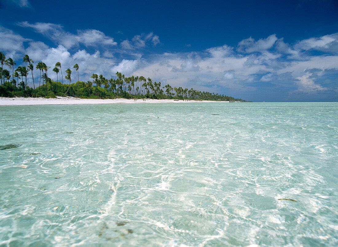 Matemwe beach, North east coast of Zanzibar, Tanzania.