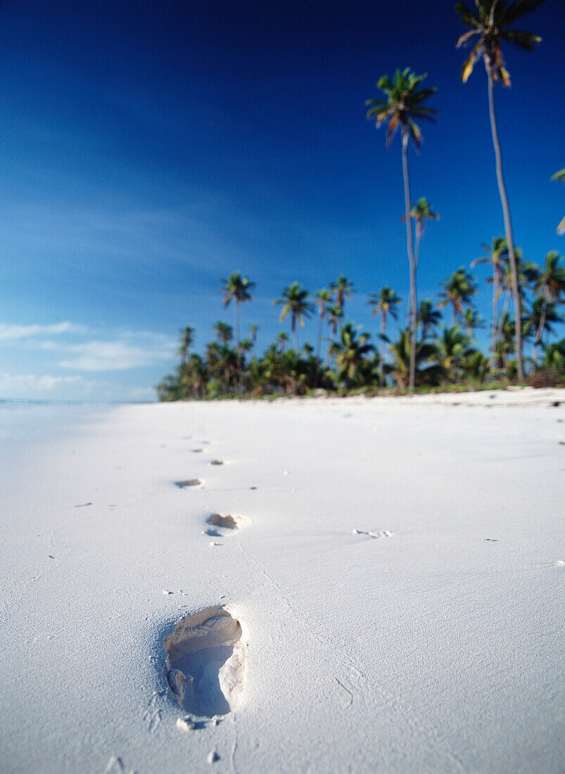 Footprints on the beach near Paje on the East coast of Zanzibar, Tanzania