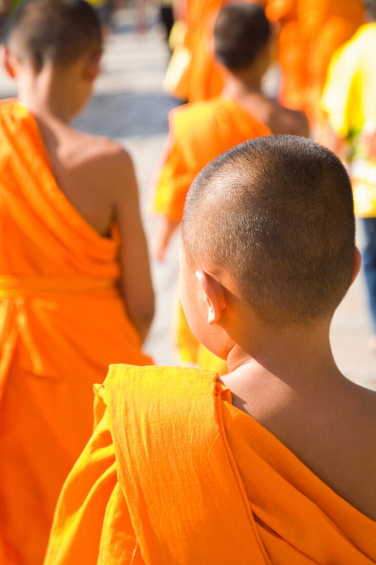 Young monks in orange robes, Rear View, Bangkok, Thailand