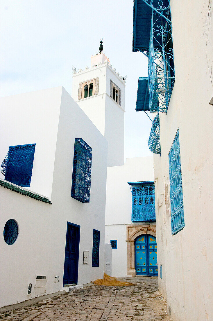 White and blue buildings, Sidi Bou Said, Tunisia