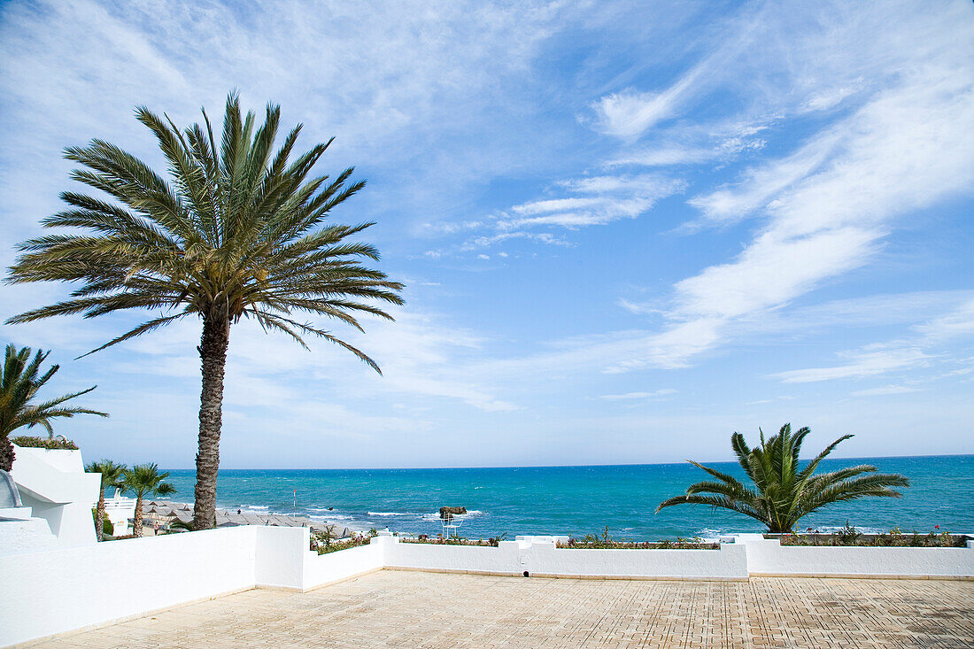 View from sun terrace over palm trees by coast, Hammamet, Tunisia