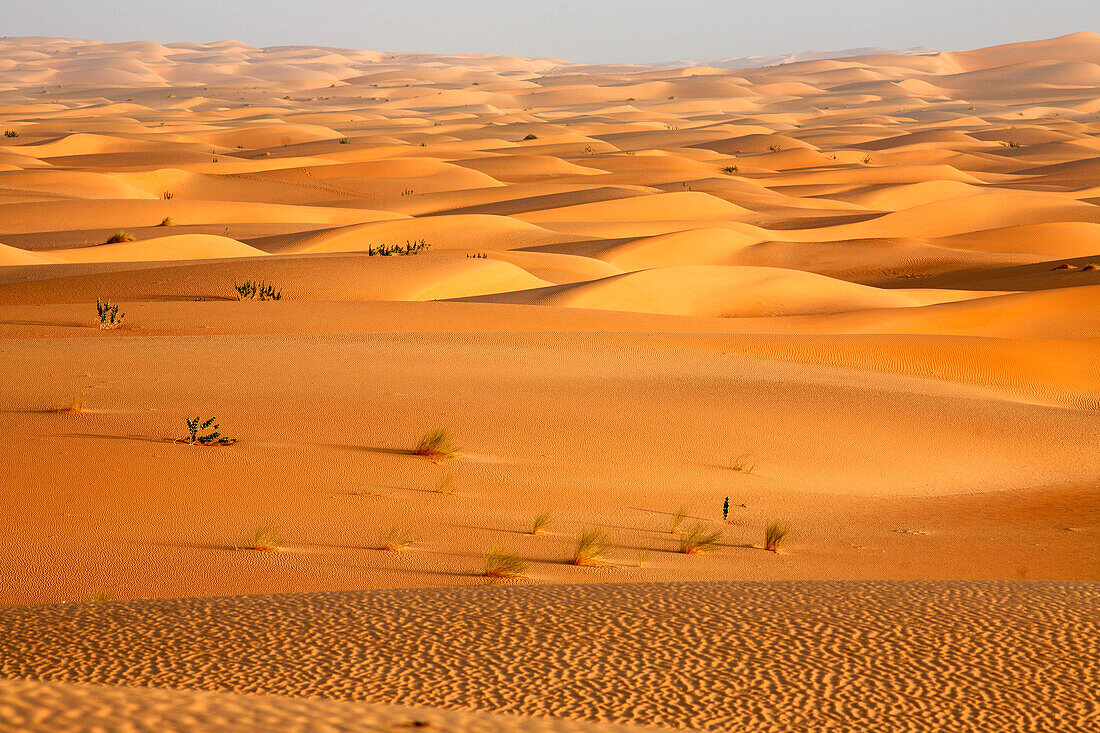 Africa, Maghreb, North africa, Mauritania, Adrar area, Chinguetti, Ouarane Erg view from Guetti dune