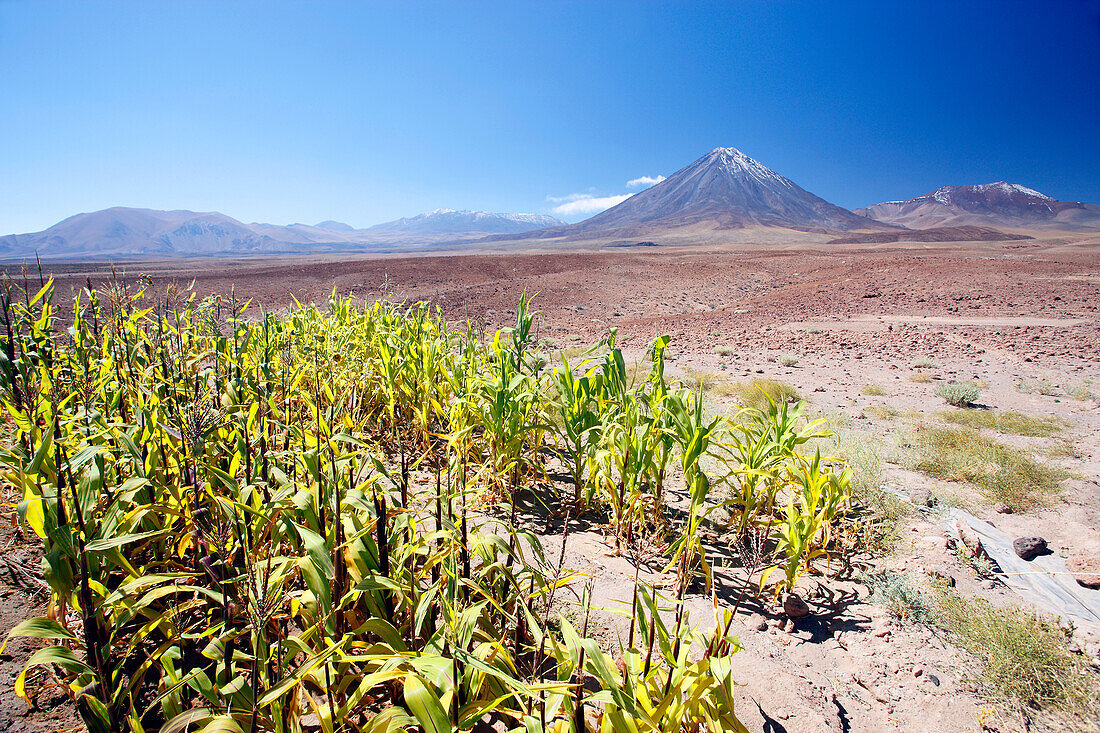 Chile, Atacama, Licancabur volcano