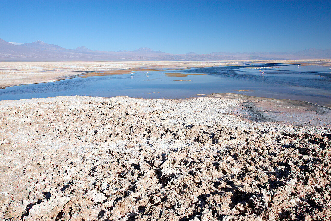 Chile, Salar de Atacama