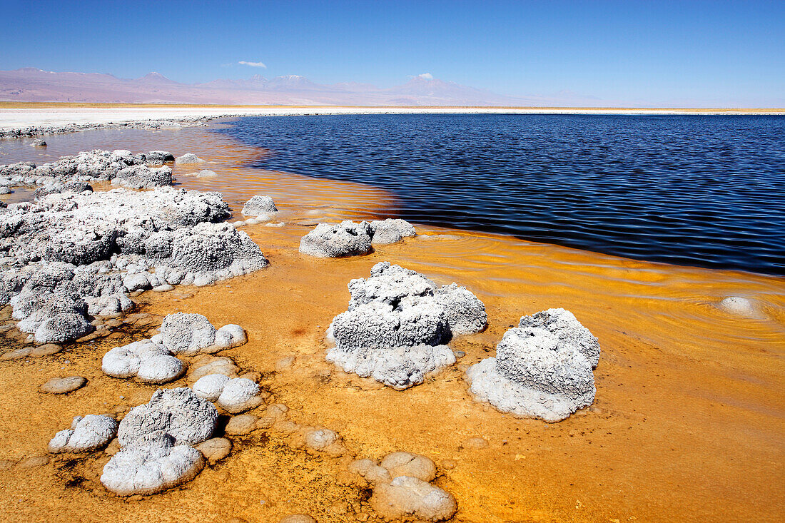 Chile, Atacama, Lagunas Cejar