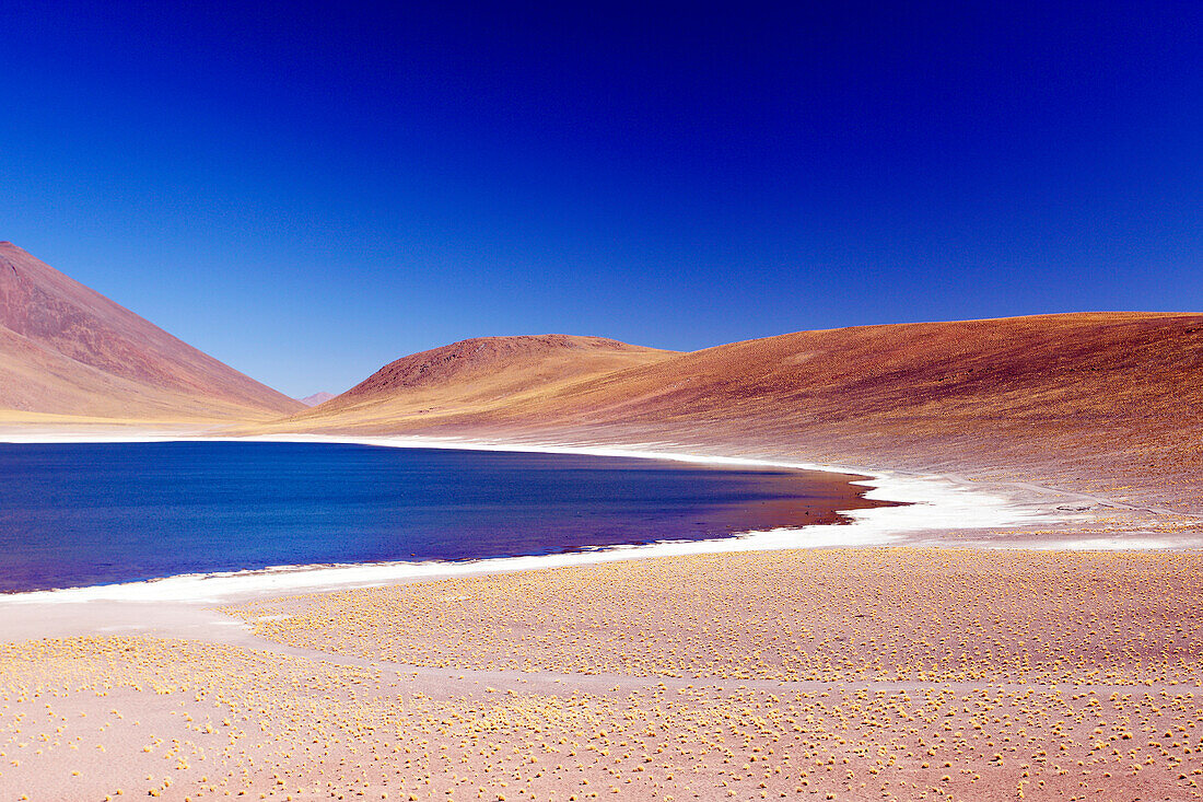 Chile, Atacama, altiplano, laguna Miniques