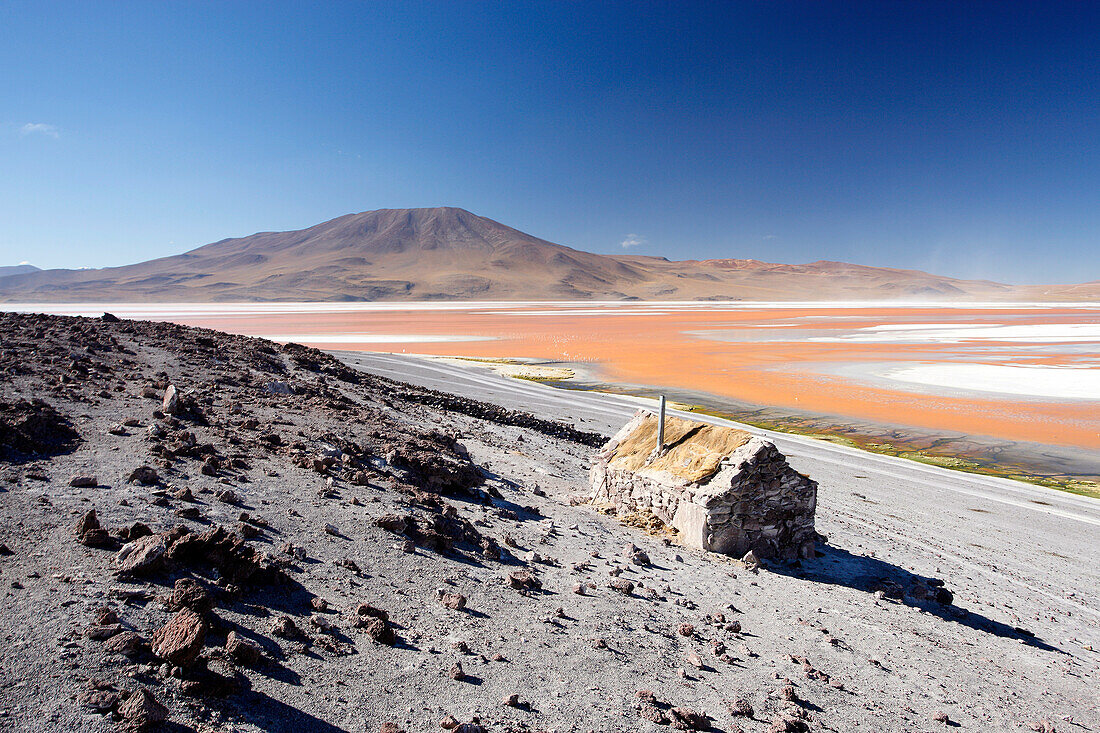 Bolivia, altiplano, laguna Colorada