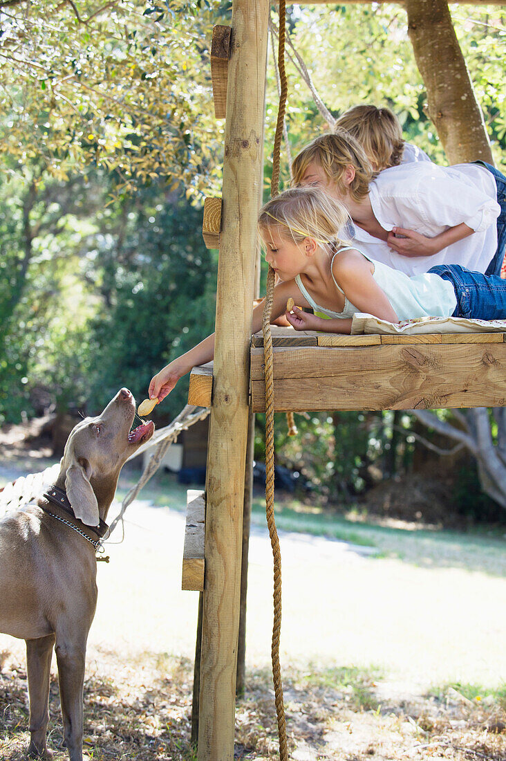 Children feeding a dog from tree house