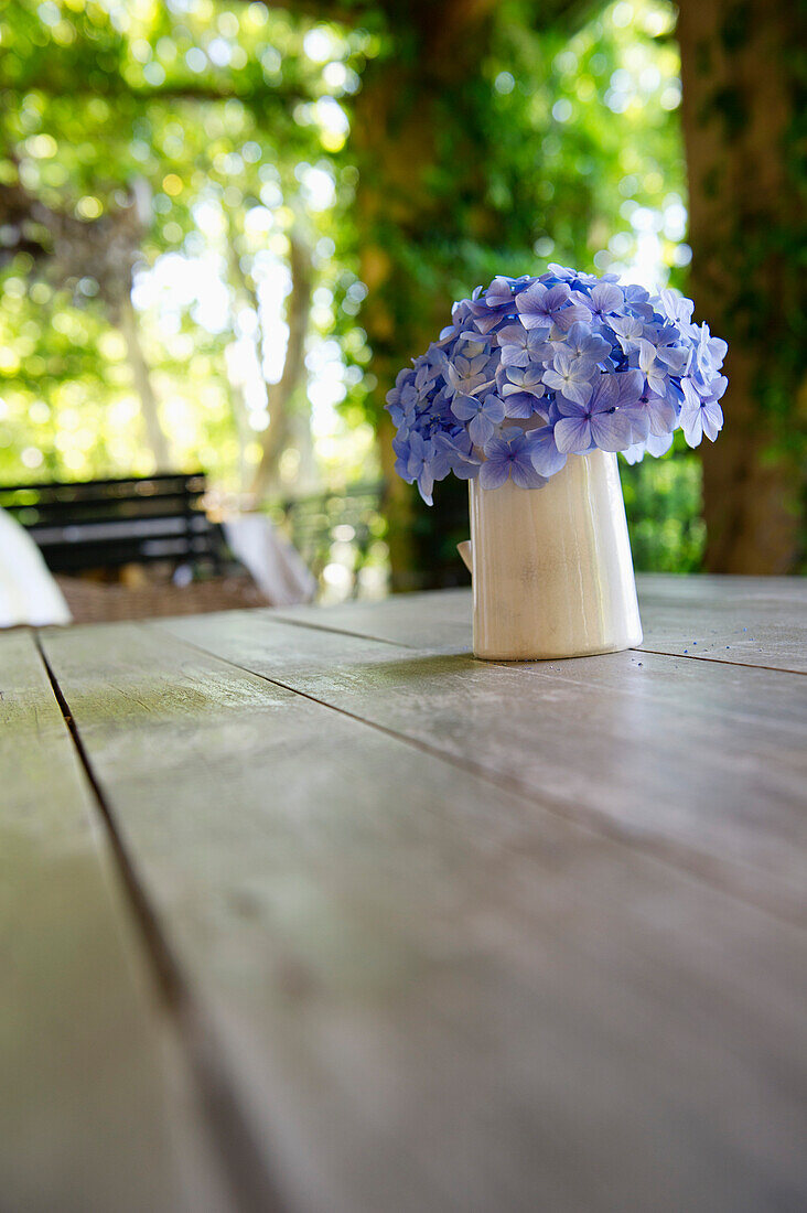 Flower pot on a table