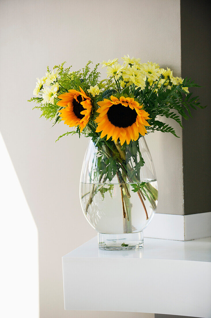 Sunflowers (Helianthus annuus) in a glass vase
