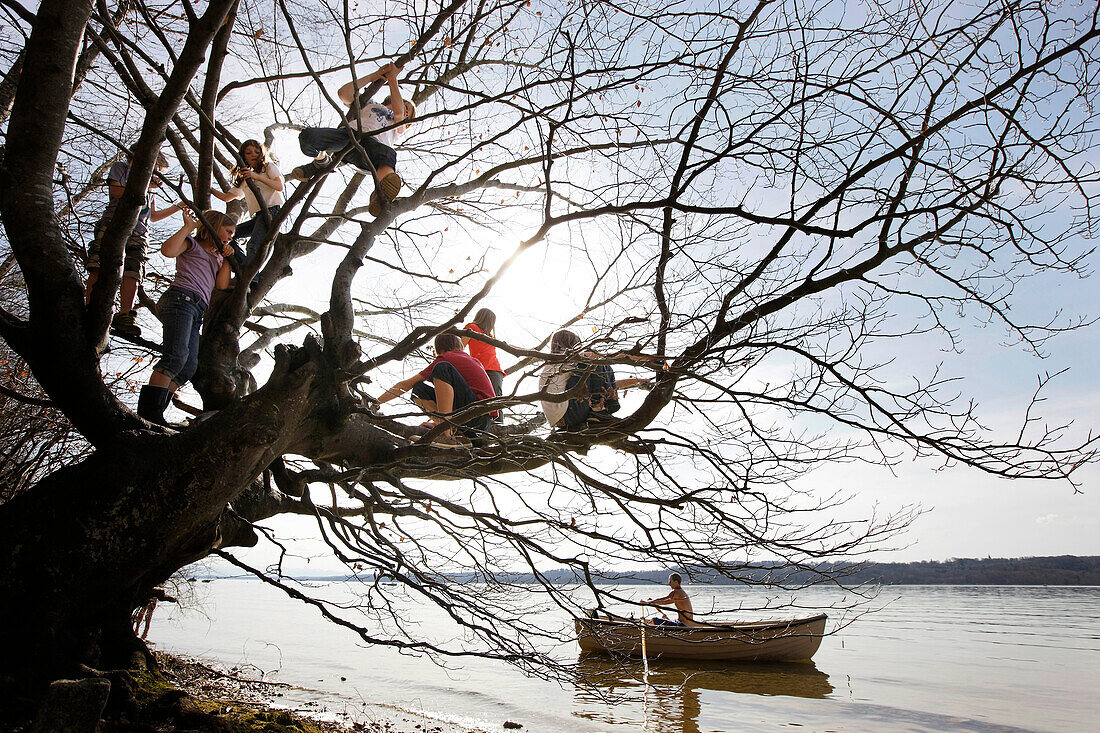 Children playing along the lakeshore, climbing a tree, Leoni castle grounds, Leoni, Berg, Lake Starnberg, Bavaria, Germany