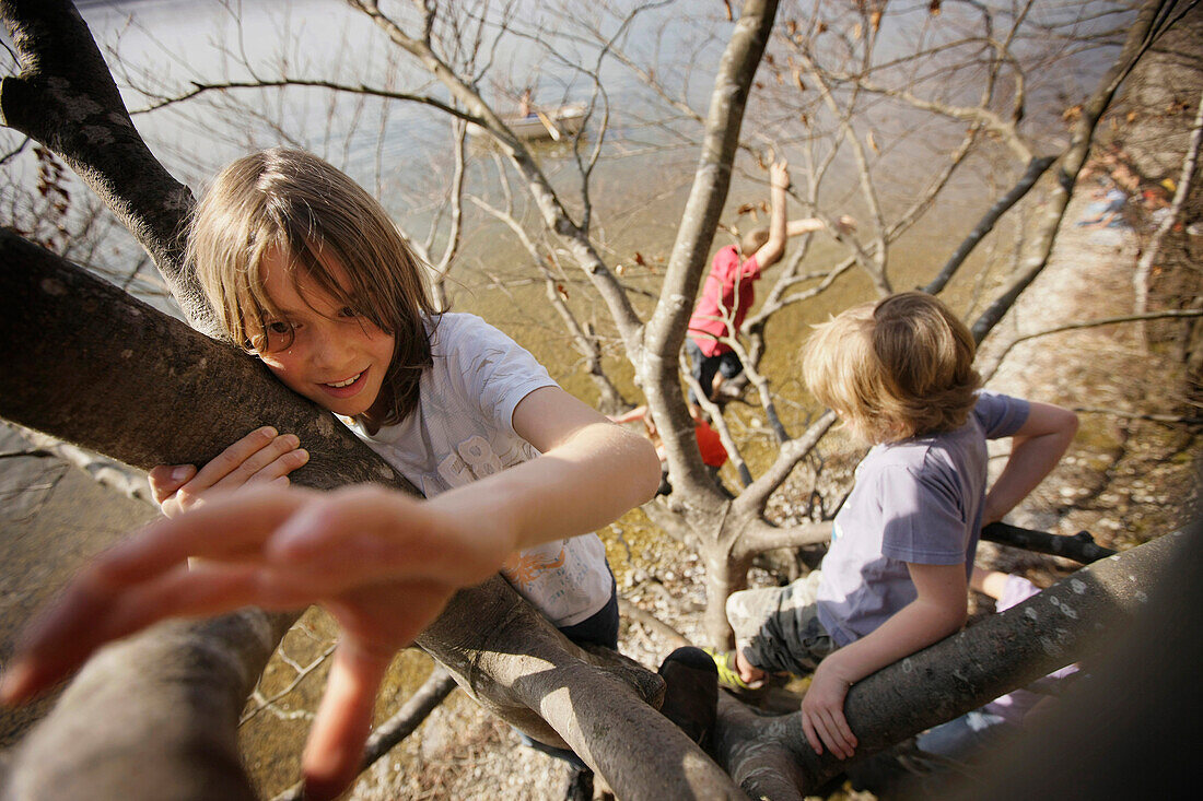 Kinder toben am Seeufer, Klettern in einem Baum, Schlosspark Leoni, Leoni, Starnberger See, Bayern Deutschland