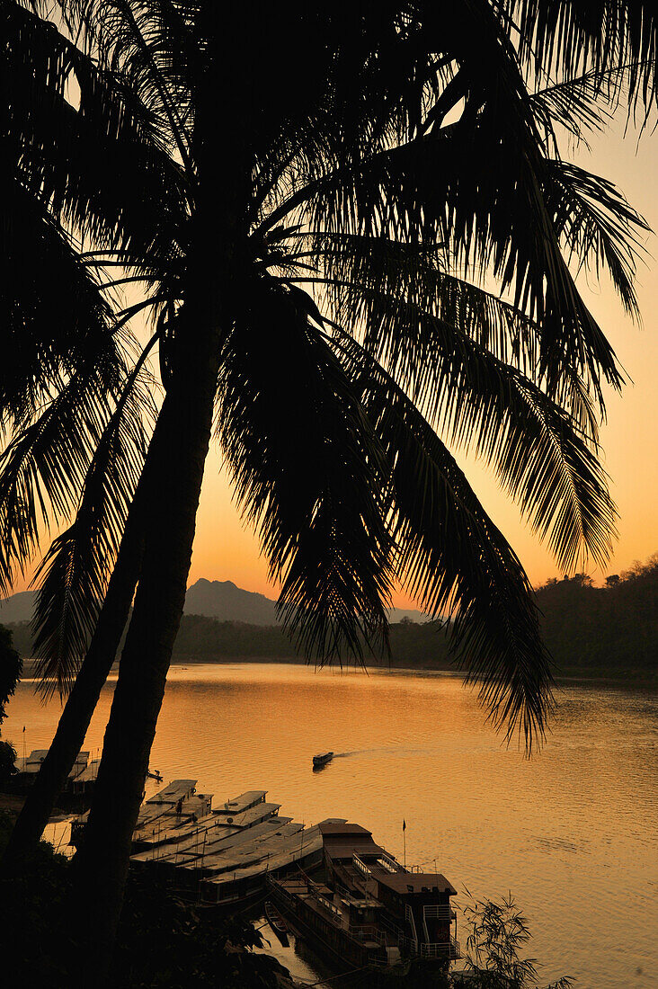 Palme und Boote am Mekong nach Sonnenuntergang, Luang Prabang, Laos, Südostasien, Asien