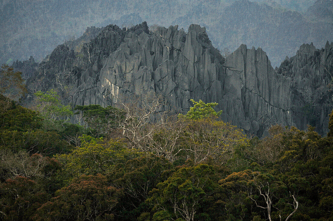 Karst landscape and jungle trees, north east of Tha Khaek, Kammuan Province, Laos