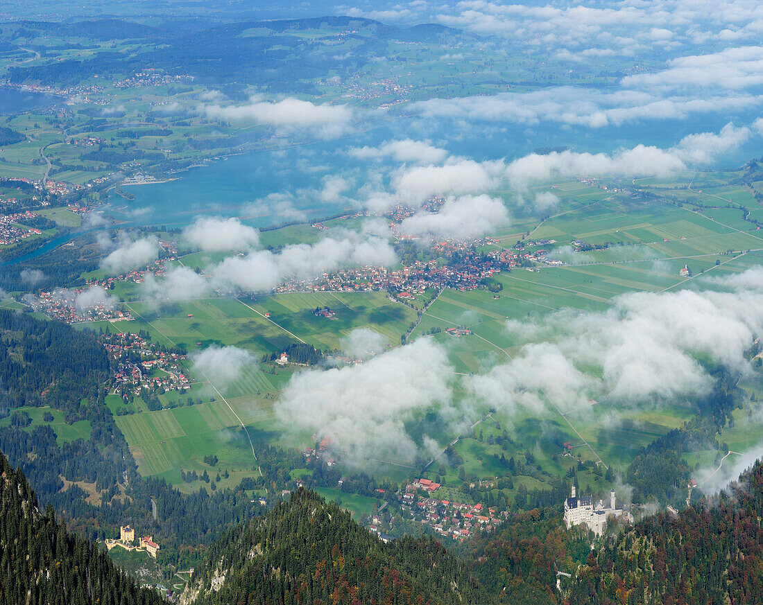 Tiefblick auf Forggensee, Schloss Hohenschwangau und Schloss Neuschwanstein vom Säuling, Ammergauer Alpen, Oberallgäu, Bayern, Deutschland