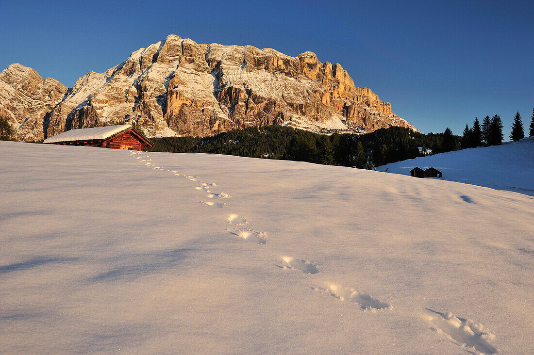 Snow-covered hay barn beneath Heiligkreuzkofel, Footprints in the snow, Val Badia, Dolomites, UNESCO World Heritage Site, South Tyrol, Italy
