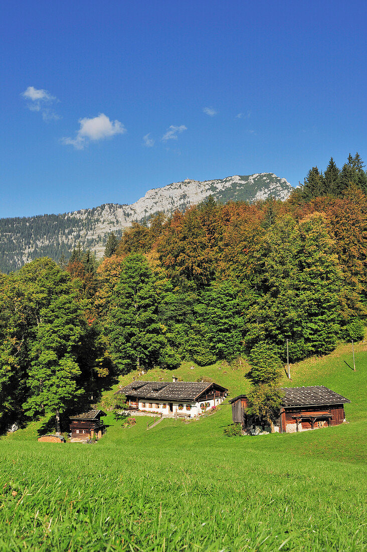Bauernhof mit Jenner, Berchtesgadener Alpen, Berchtesgaden, Oberbayern, Bayern, Deutschland