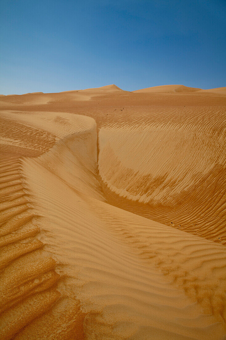 Dünen, Wahiba Sands Wüste, nahe Bidiya, Ash Sharqiyah, Oman, Arabische Halbinsel