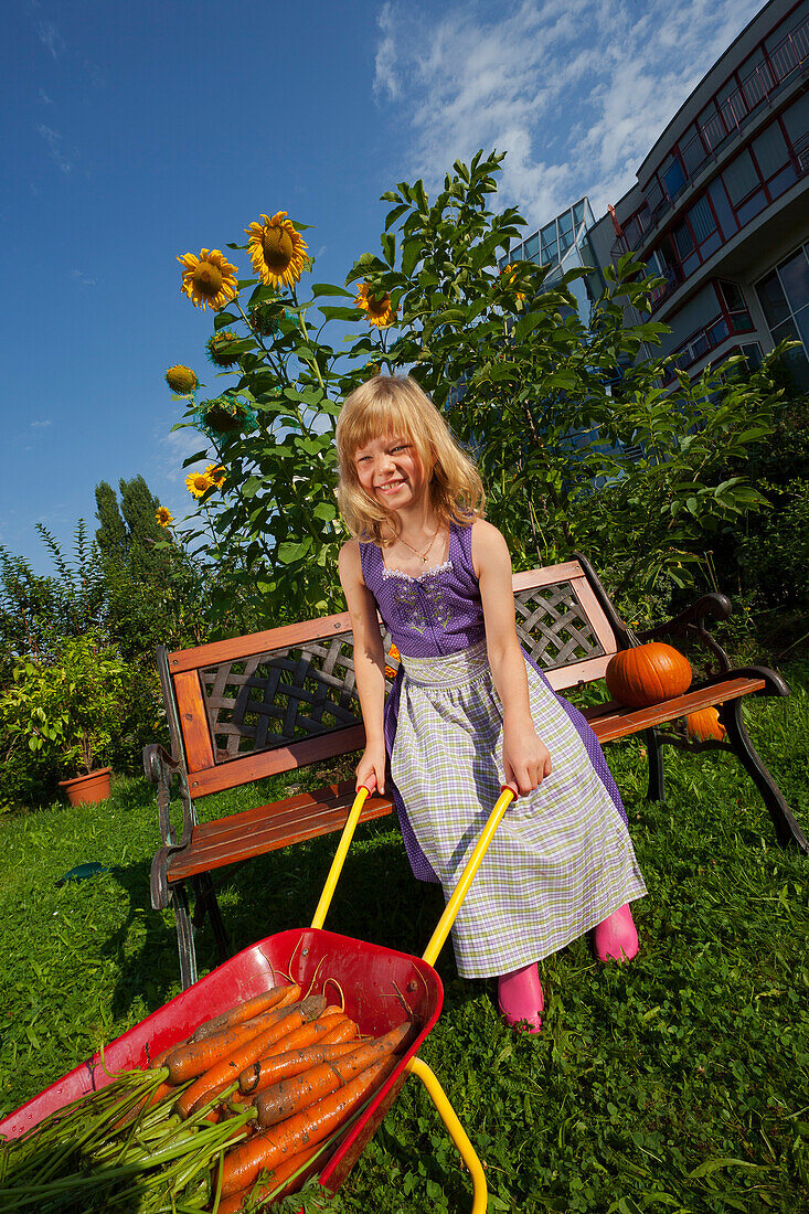 Mädchen zeigt Karotten, Schubkarre, gärtnern im städtischen Schrebergarten, Urban Gardening, Urban Farming, Stadtgarten, Stuttgart, Baden Württemberg, Deutschland