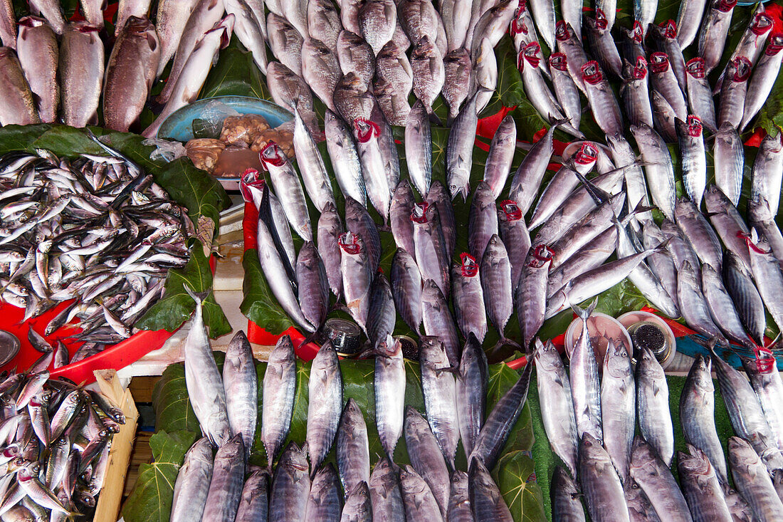 Fischmarkt an der Galata Brücke, Istanbul, Türkei, Europa