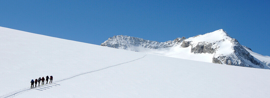 Skibergsteiger beim Aufstieg in den Alpen, Südtirol, Italien, Europa