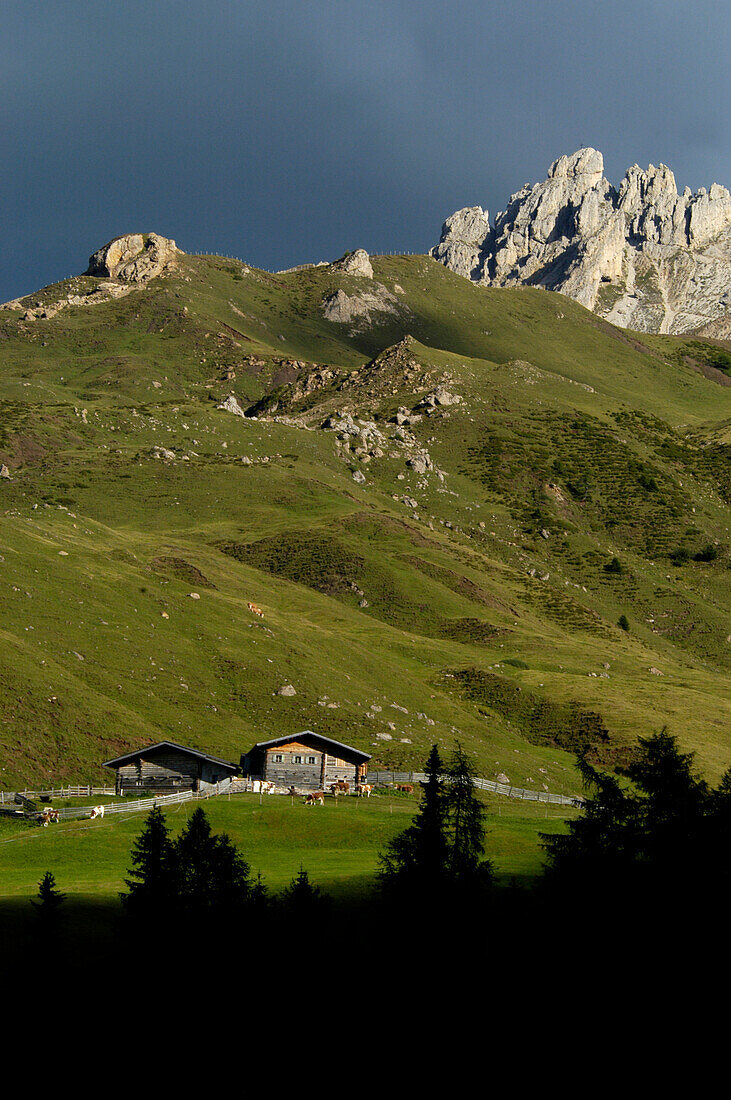 Almhütte an einem Berghang, Seiser Alm, Naturpark Schlern Rosengarten, Südtirol, Italien, Europa