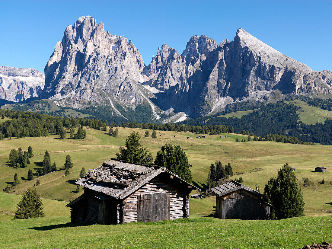 One wooden hut in valley, Langkofel Range, Dolomites, South Tyrol, Trentino-Alto Adige, Italy