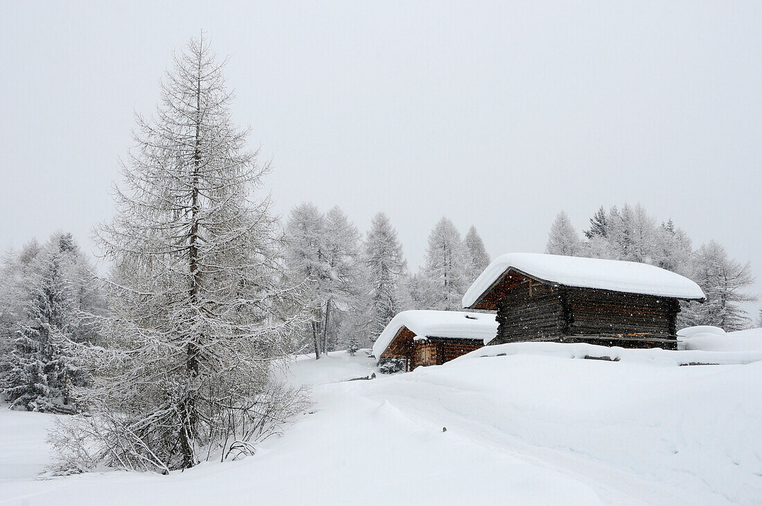 Alpine hut covered with snow, Seiser Alm, Valle Isarco, South Tyrol, Trentino-Alto Adige, Italy