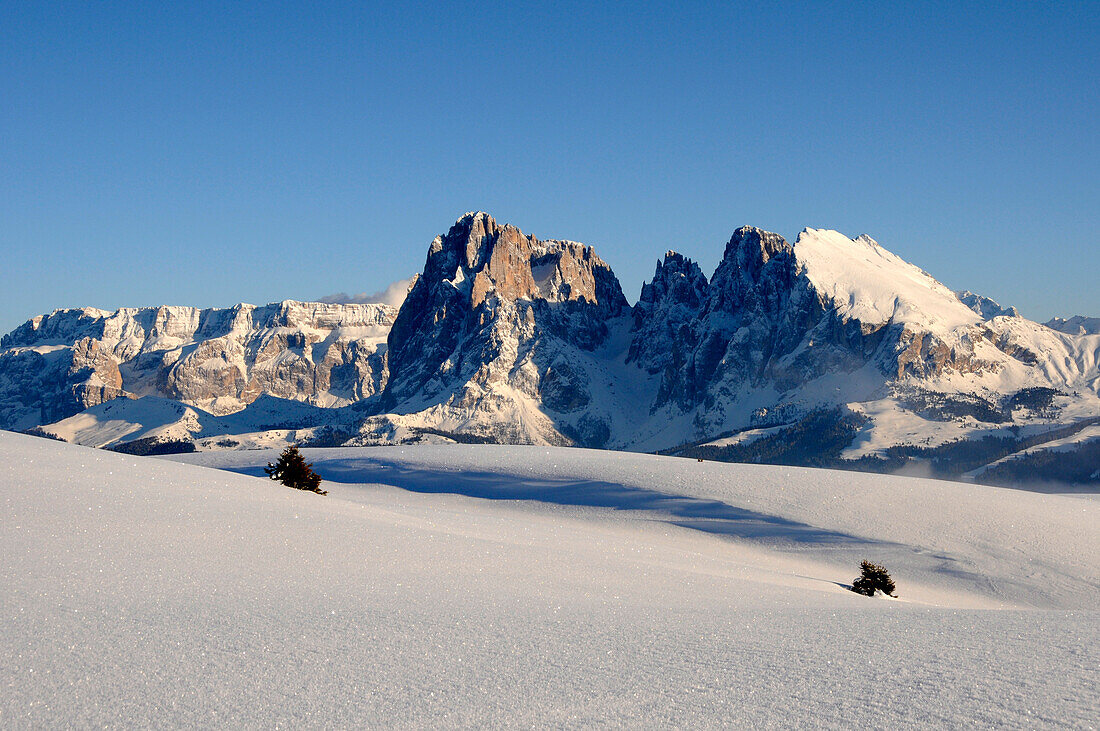 Langkofel, Langkofel massif, Plattkofel, Plattkofel alpine pasture, Puflatsch, Alpe di Siusi, Valle Isarco, UNESCO world natural heritage, Dolomites, South Tyrol, Trentino-Alto Adige, Italy